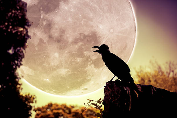 istock Night sky with full moon, tree and silhouette of crow. 542079530