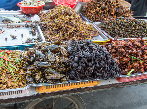 istock pile of filthy dishes infested with roaches 542080090