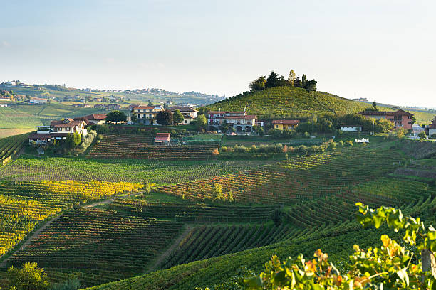 istock beautiful vineyard in switzerland in blue sky 542080896