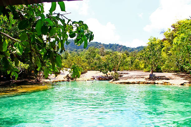 istock Emerald pool in Krabi, Thailand 542080968