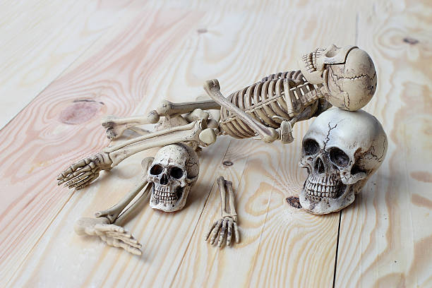 istock human skull and human skeleton on pine wood background 542081688