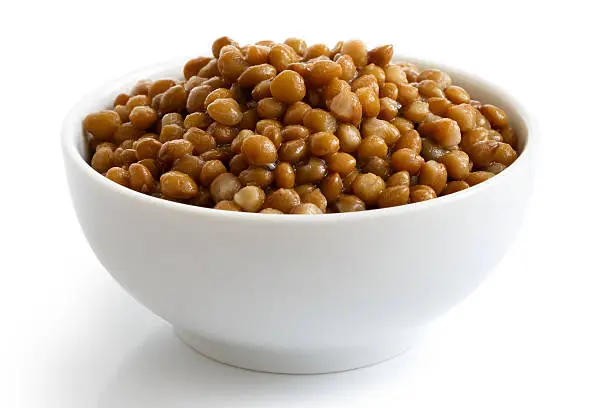 White ceramic bowl of brown cooked lentils isolated on white in perspective.