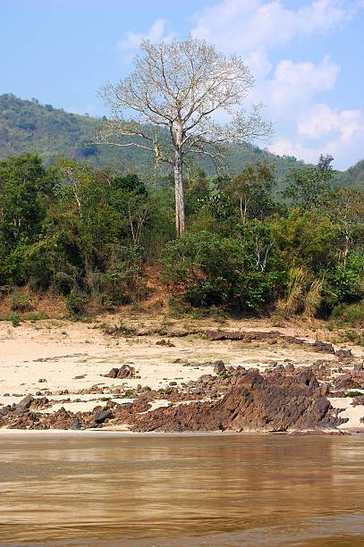istock Mekong Valley riverside, Laos 542085436