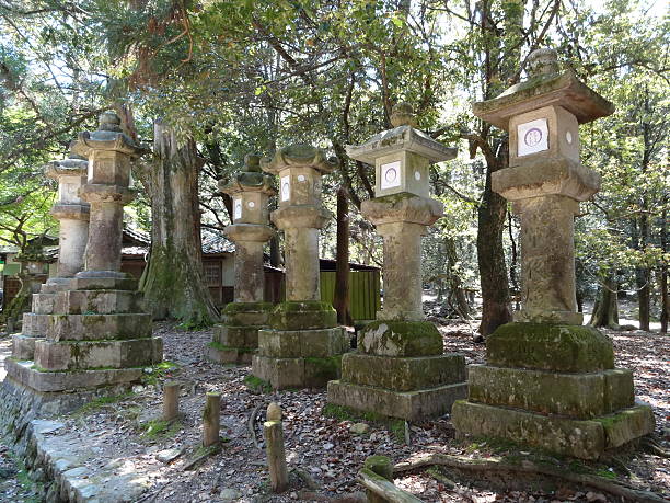 istock Japanese lantern in Nara 542085466