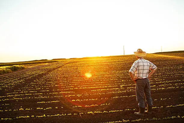 Photo of Senior farmer sitting on field