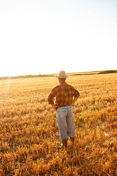 istock Senior farmer sitting on field 542087190