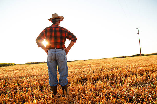 istock Senior farmer sitting on field 542087348