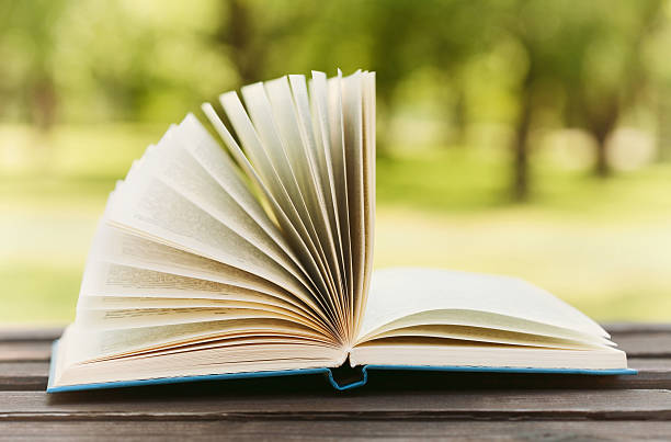 istock Open book on a bench in park, reading education concept 542087430