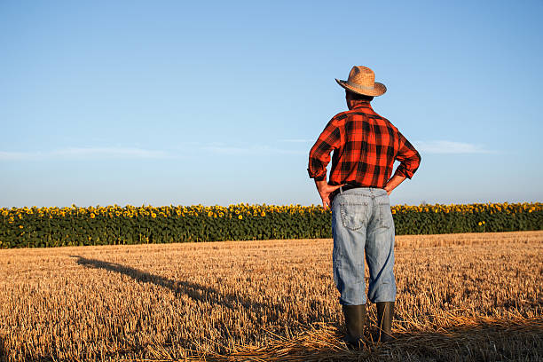 istock Senior farmer sitting on field 542087498