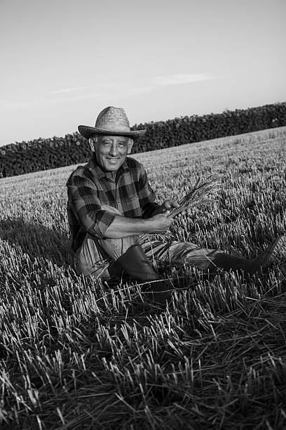 istock Senior farmer sitting on field 542088010