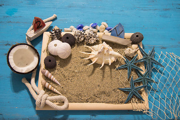 istock Seashells and starfish over white. Vacation concept . 542088020