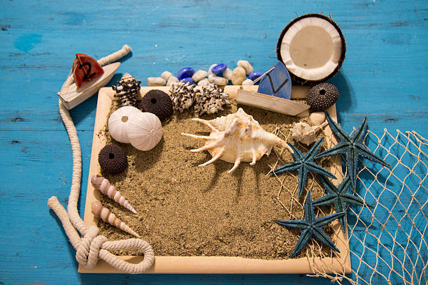 istock Seashells and starfish over white. Vacation concept . 542088070