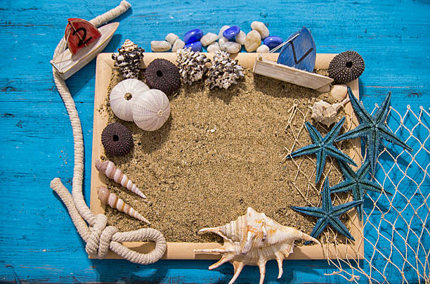 istock Seashells and starfish over white. Vacation concept . 542088130