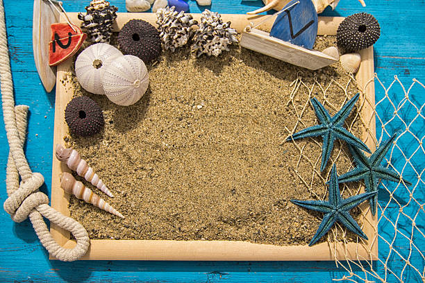 istock Seashells and starfish over white. Vacation concept . 542088196