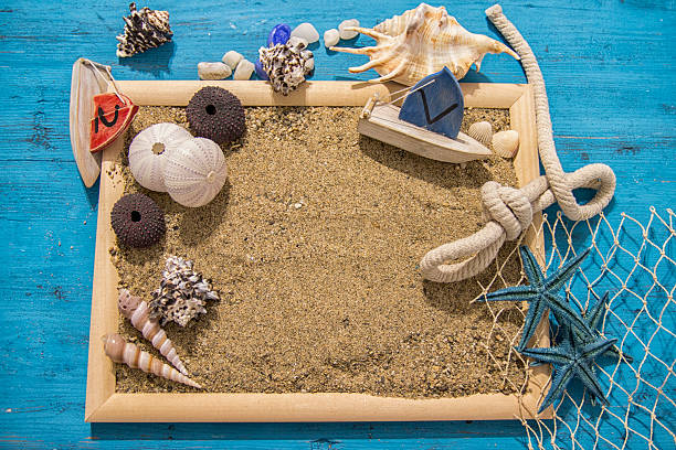 istock Seashells and starfish over white. Vacation concept . 542088260