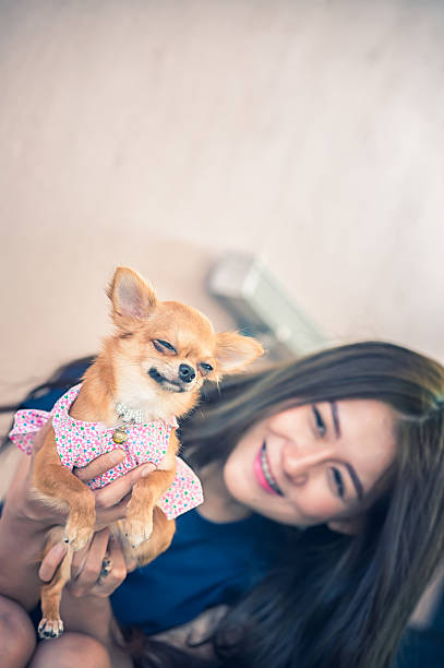 istock Happy young woman with dog 542088716