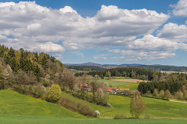 istock View to the mountain Lusen 542089076