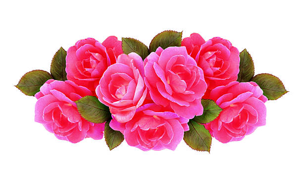 istock Arrangement with pink rose flowers 542089140