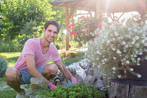 istock Smiling man planting flowers in backyard during springtime. 542091032