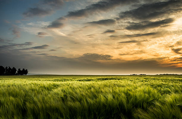 istock Rural landsape with beautiful sunset - Saxony, Germany. 542093346