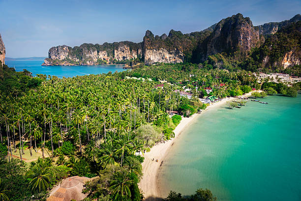istock Beach Travel Location Scenic Beautiful Nature Concept 542093424