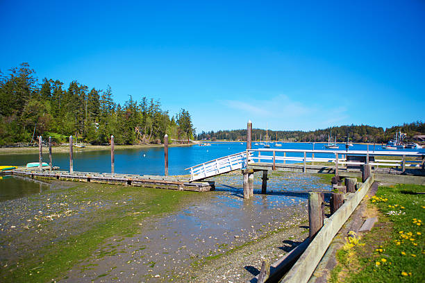 istock Mystery Bay, Marrowstone island. Olympic Peninsula. Washington State. 542094550