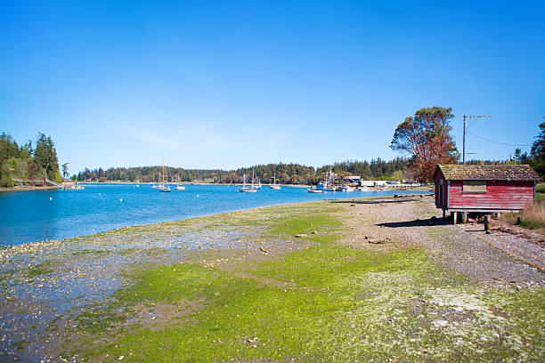 istock Mystery Bay, Marrowstone island. Olympic Peninsula. Washington State. 542094912