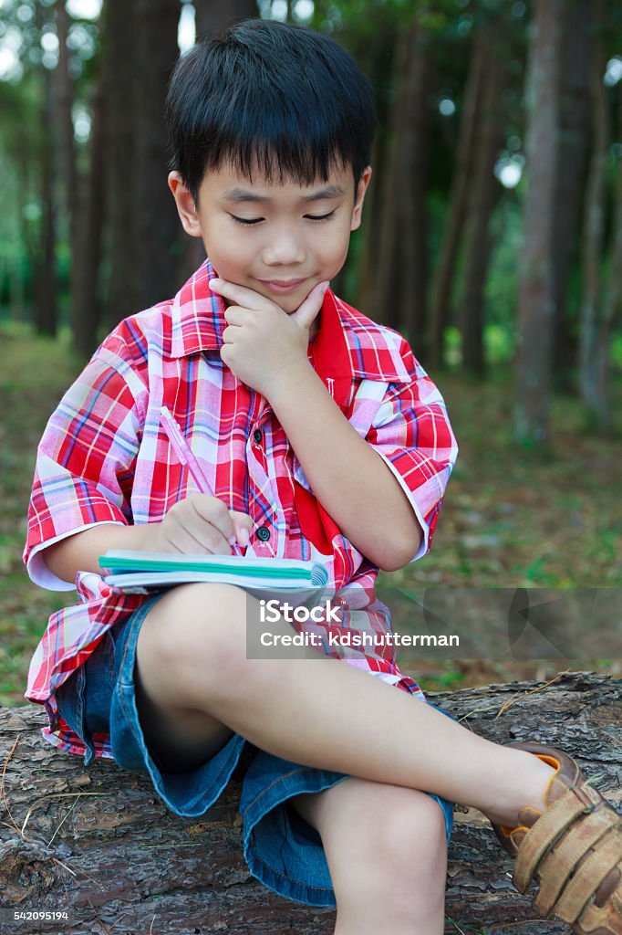 Kid happy and smiling on wooden log at park. Outdoors. Handsome asian boy can resolve problem, happy and smiling on wooden log in national park. Child writing on notebook. Outdoors in the day time with sunlight. Children planning and education concept. 6-7 Years Stock Photo