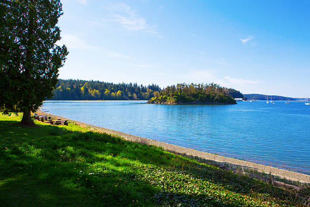 istock Mystery Bay, Marrowstone island. Olympic Peninsula. Washington State. 542095482