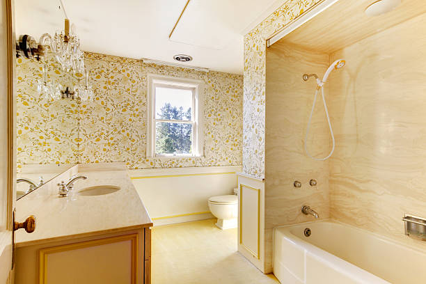 istock Old classic American house antique bathroom interior. 542095894