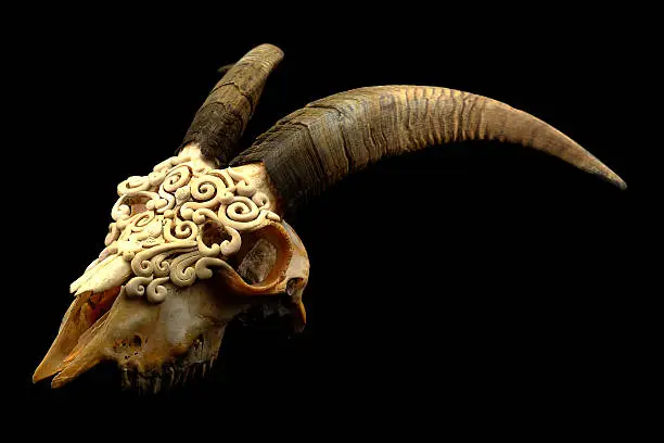 Photo of Goat's skull decorated with  Polymer clay