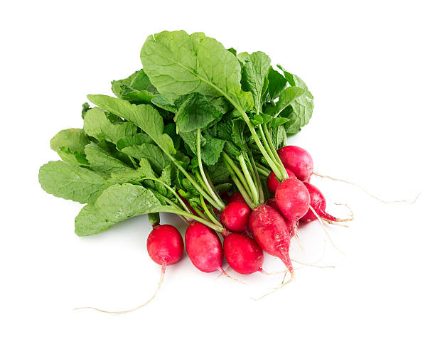 istock Bunch of fresh radishes 542102996