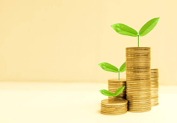 istock Growing plant on coin money 542103168