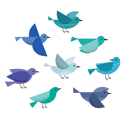 Set of different cute flying birds. Vector illustration isolated on a white background.