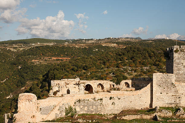 istock Citadel of Salah Ed-Din. 542103966
