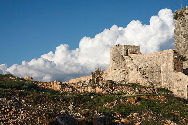 istock Citadel of Salah Ed-Din. 542104442