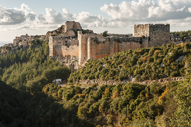 istock Citadel of Salah Ed-Din. 542104840