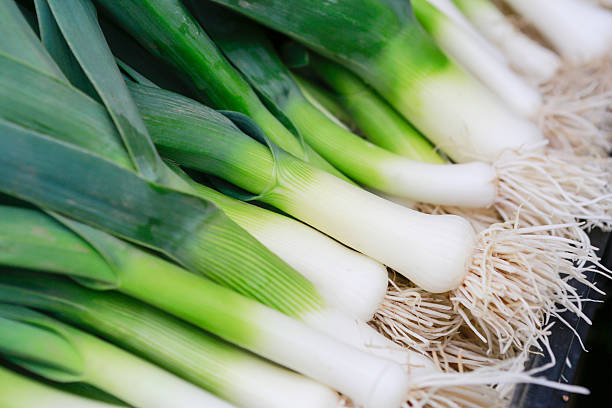 Closeup of some fresh Leeks with the white bulb stock photo
