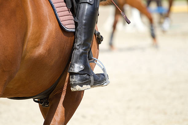 istock Dressage horse rides 542106780