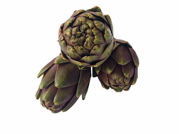 istock Artichoke heads isolated on white background 542107406