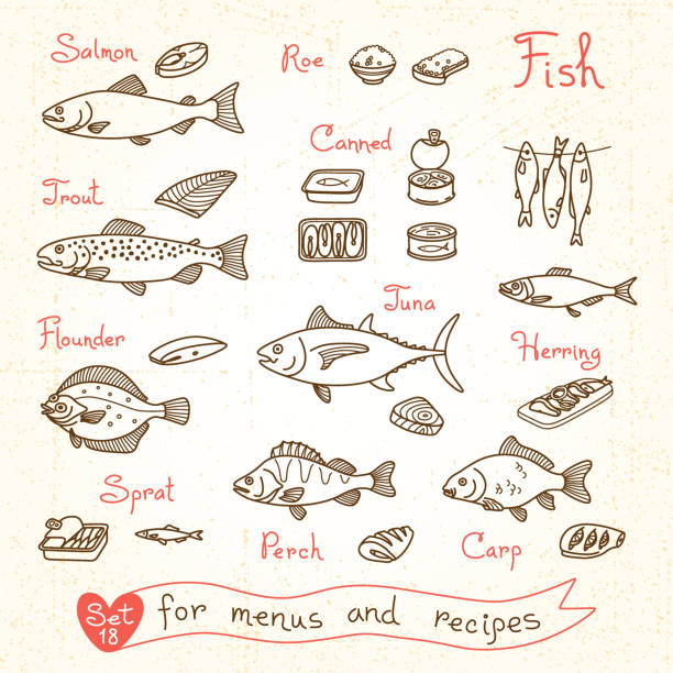 Impostare disegni di pesce con design menu, ricette e fare - illustrazione arte vettoriale