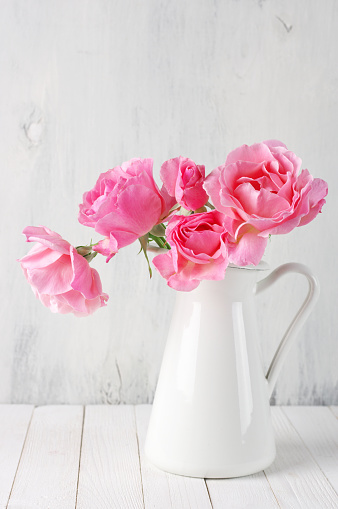 Fresh tender pink garden roses in white jug on rustic white wooden background.