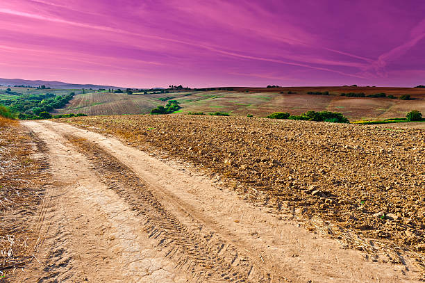 campo de algodón  - cotton photography cloud plantation fotografías e imágenes de stock