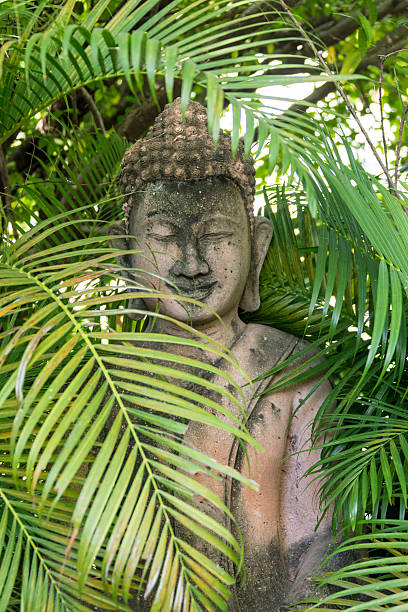 istock buddha statue in wat umong, chiang mai 542110866