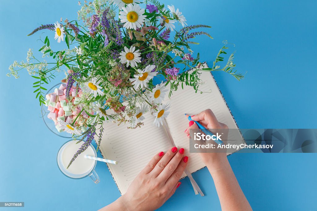 Woman write in notebook Woman write in notebook. Summer bright scene with wildflowers Adult Stock Photo