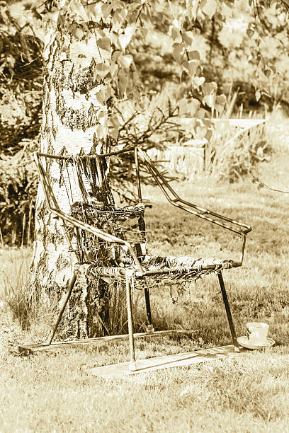 istock Old chair near birch 542112064