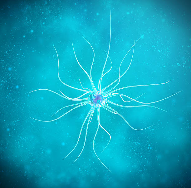 파란색 배경에 뇌 세포. 3d 일러스트 고품질 - nerve cell synapse communication human spine 뉴스 사진 이미지