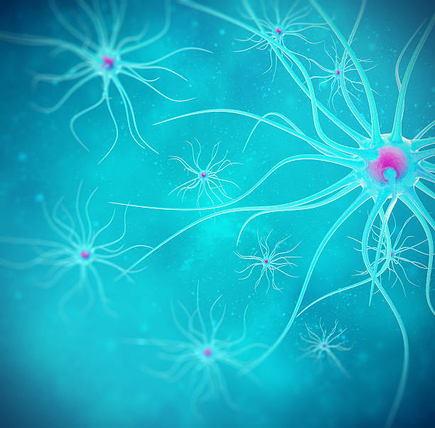 푸른 배경에 뇌 세포. 3d 일러스트 고품질 - nerve cell synapse communication human spine 뉴스 사진 이미지