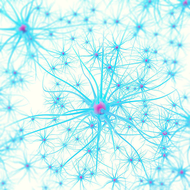 초점 ��효과와 흰색 배경에 뇌의 뉴런 - nerve cell synapse communication human spine 뉴스 사진 이미지