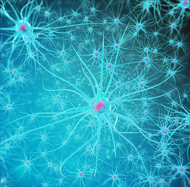 신경망, 뇌 세포, 신경계. 3d 일러스트레이션 - nerve cell synapse communication human spine 뉴스 사진 이미지
